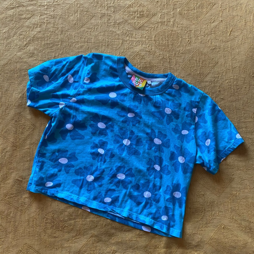 Big Bud Press Floral Crop Top